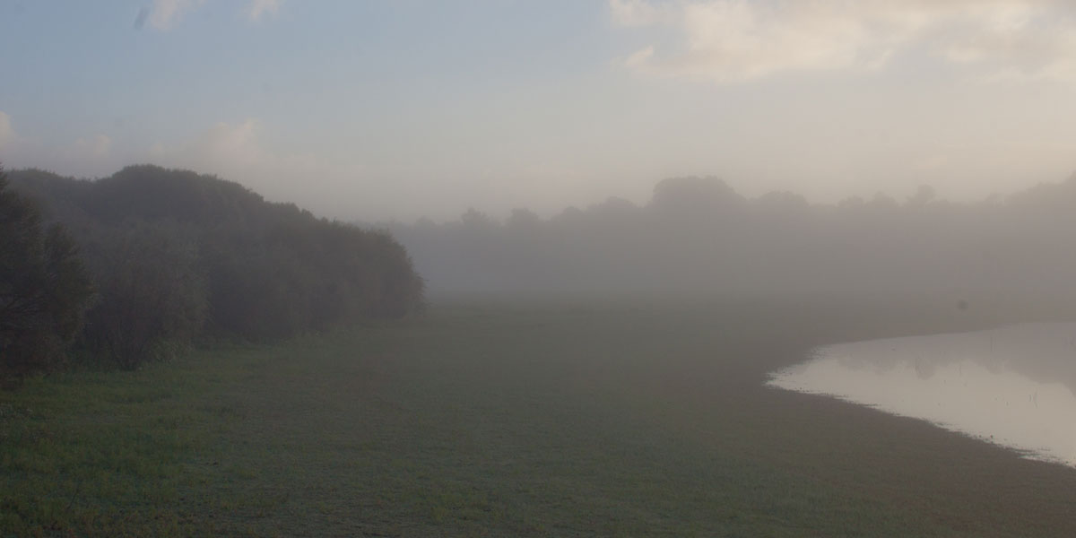 misty-mornings-sunrise_bushblock